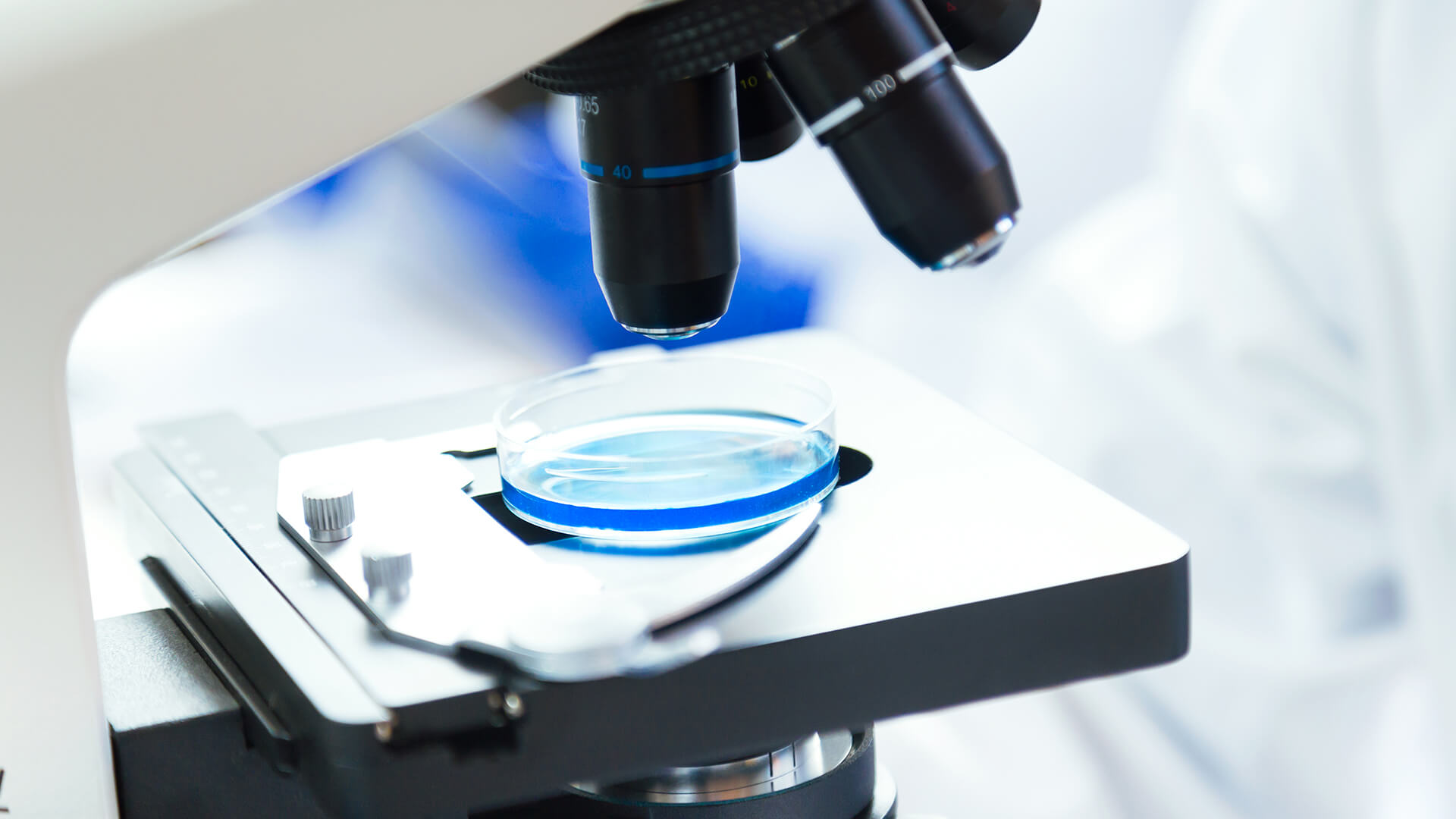 Test Genetici